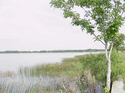  Lake Eustis